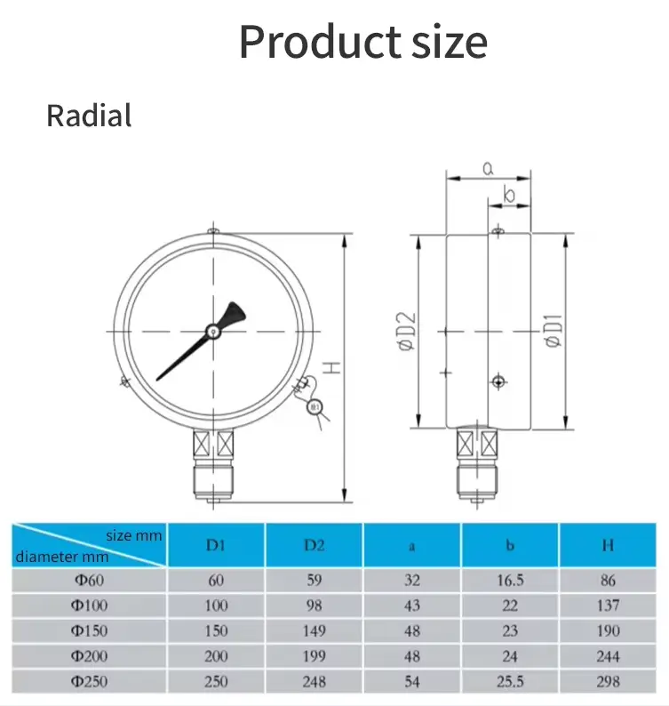 Pressure Guage — product detail 6