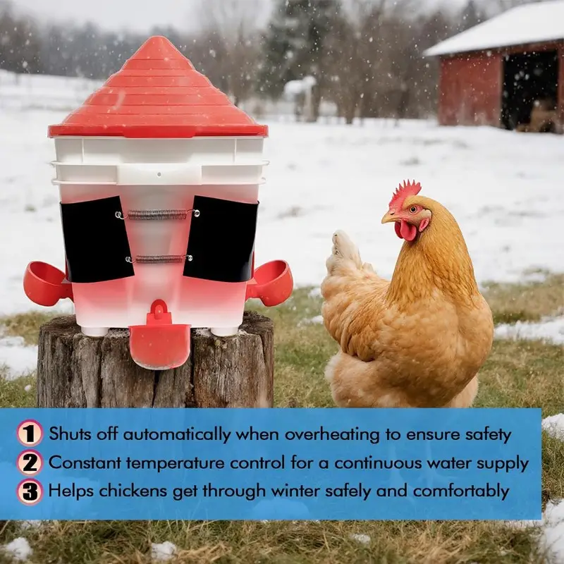 Chicken Heating Water Pad — Chicken Water Heater 5 10