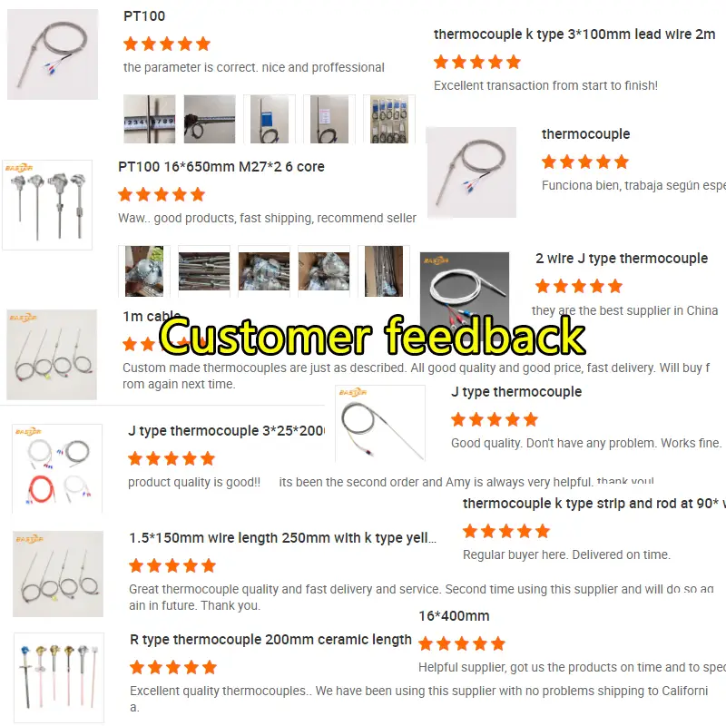 Thermometer Pt100 — Industrial Temperature Sensor Resistance Pt100 Thermocouple Double element 30