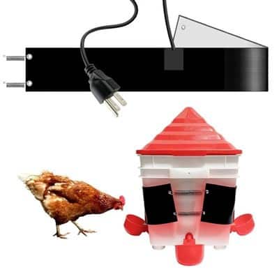 Chicken Water Heater