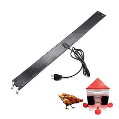 Poultry Chicken Water Heater